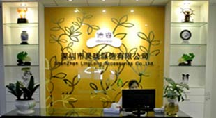 Shenzhen Linglong Accessories Co.,Ltd